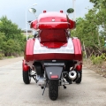 300cc 3 wheel Gas Scooter Trike 